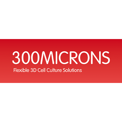 300MICRONS