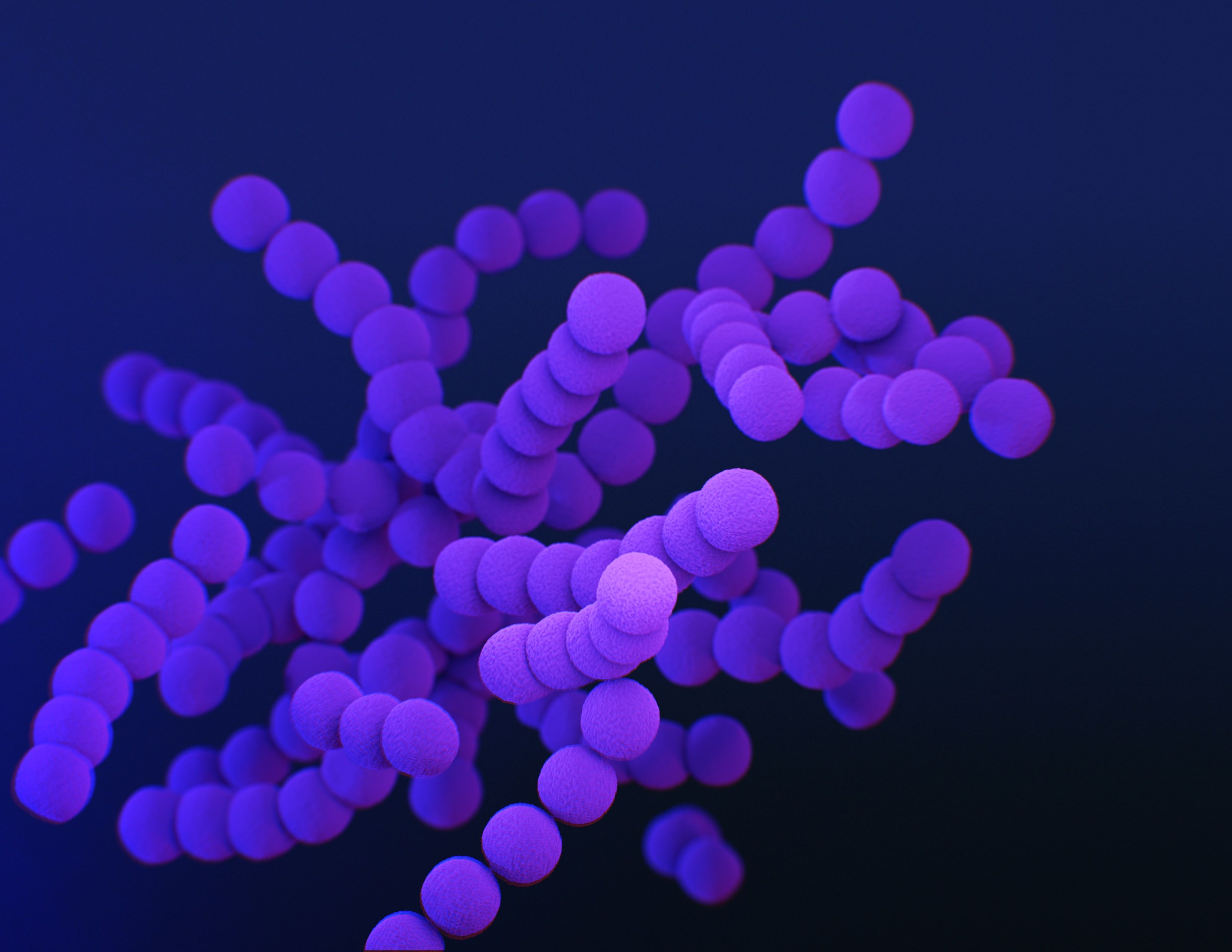 Biomedica On The Move