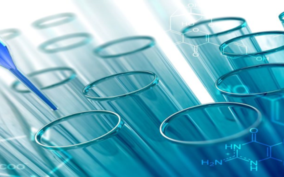 Insights from the EU-Japan Biotech & Pharma Partnering Conference 2023