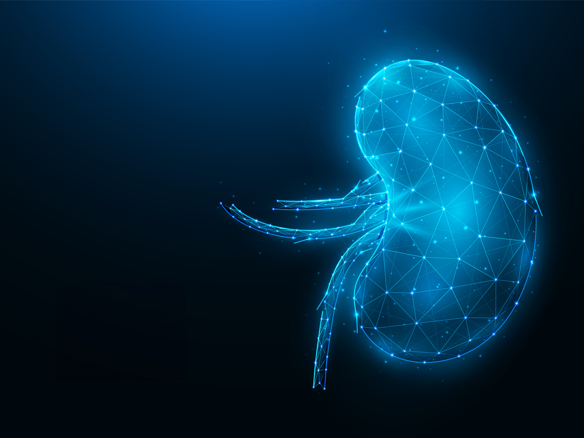 Kidney Moonshot