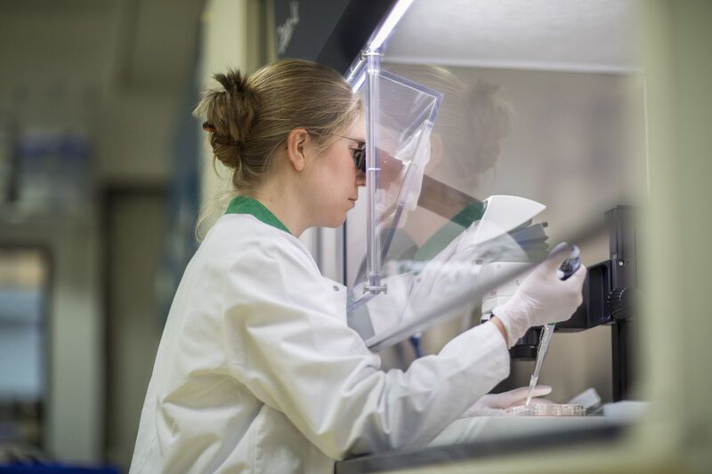 RegMed XB partner LUMC receives 100 million euros for research for stem cell based therapies