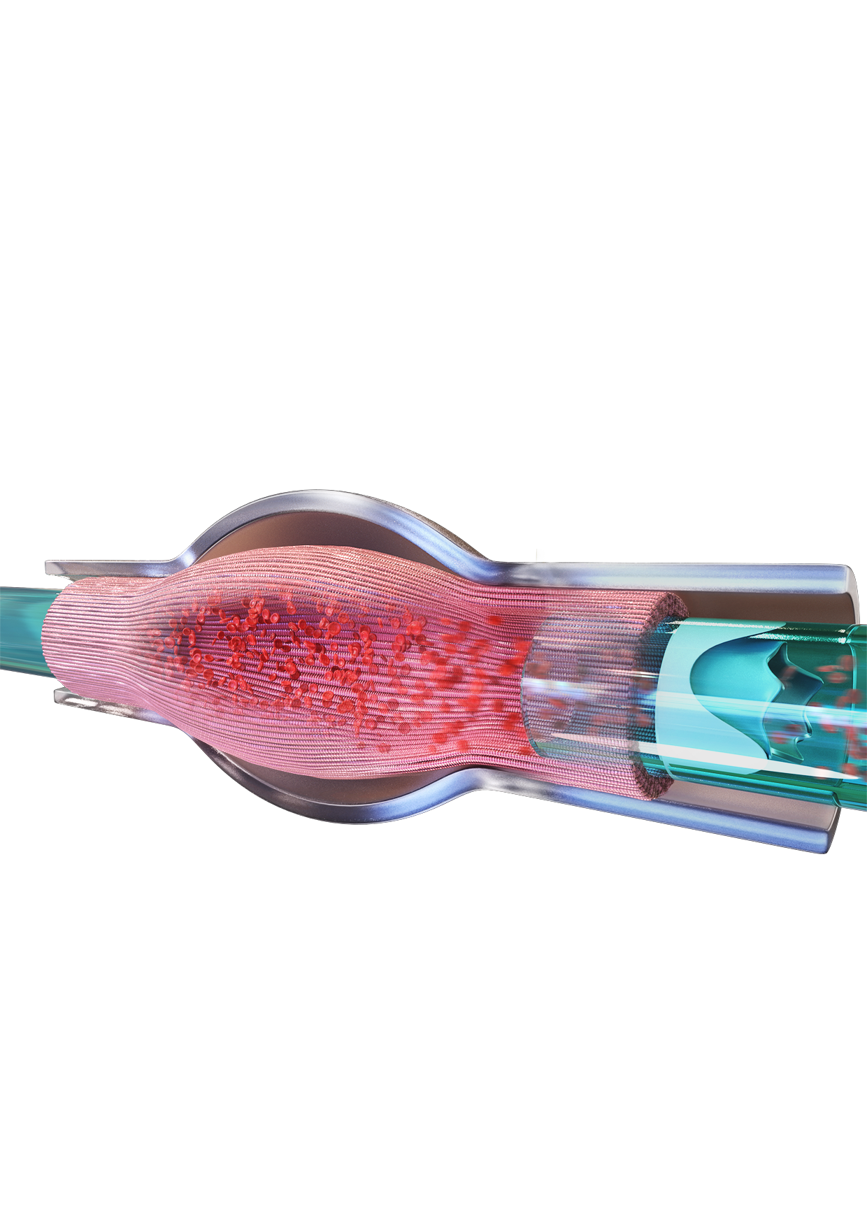 FIRST participates in 1.8 million seed investment for the discovery of two new drugs for heart failure