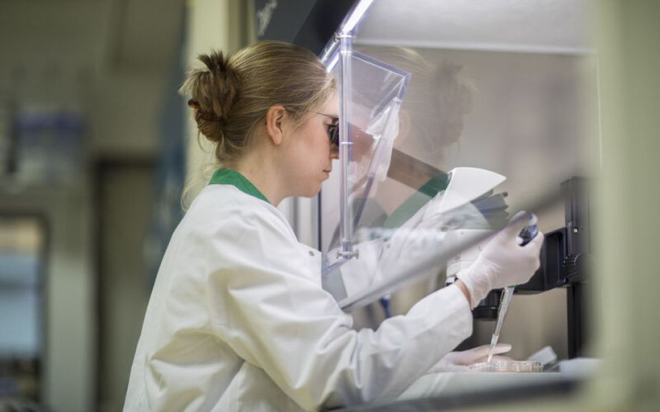 RegMed XB partner LUMC receives 100 million euros for research for stem cell based therapies